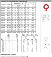 hochfeste_verbindungen_gk_8_carconnect80_ringschrauben_starr