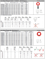 hochfeste_verbindungen_gk_8_carconnect80_ringschrauben_variabel